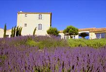 La Bastide De Capelongue